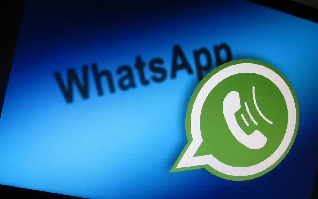 WhatsApp Business : L’arme secrète des entrepreneurs martiniquais pour vendre sans site web